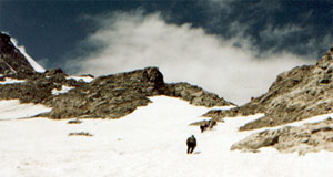 Восхождение днепряне начнут летом 2011 года. Фото с сайта mountain.ru