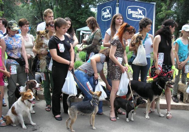 Каждый год выставка собирает все больше людей и их питомцев. Фото с сайта fauna.at.ua