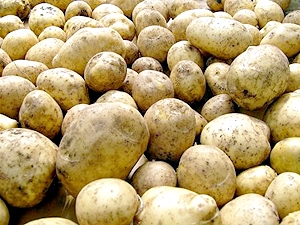 Не придется ли вскоре и картошку из Китая завозить? Фото с сайта kp.ua