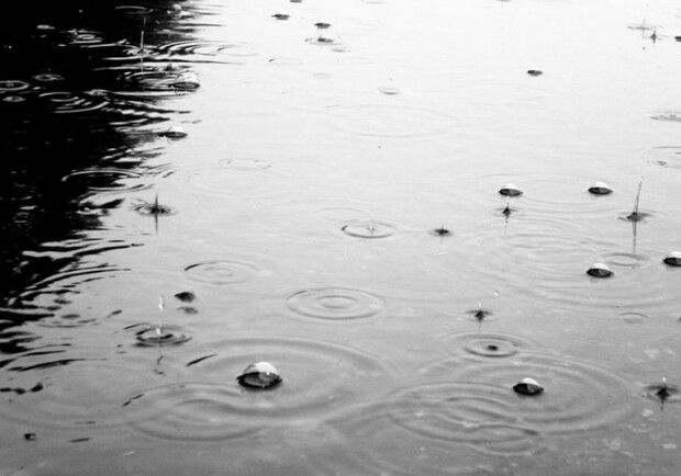 "Хорошему хозяину – день мал" и дождь не помеха. Фото с сайта megalife.com.ua