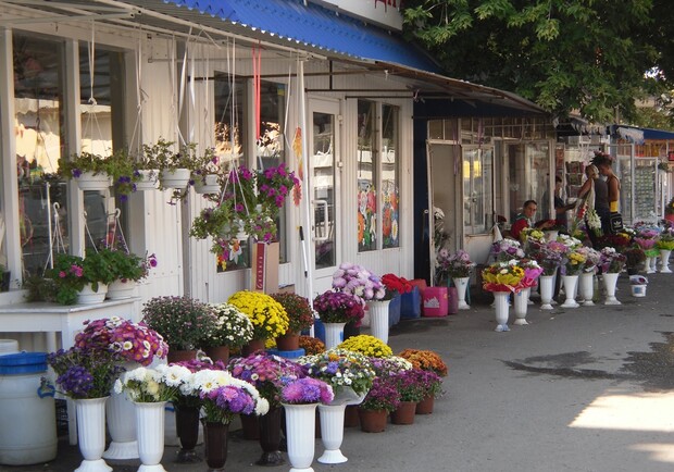 Накануне Дня знаний в город завезли море цветов – даже хризантемы из Голландии. Фото с сайта kp.ua