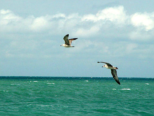 Если отпуск пришелся на бархатный сезон – проведите его у моря. Фото с сайта kafa-info.com.ua