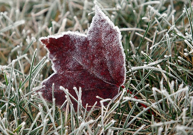Первые заморозки начнутся уже в октябре. Фото с сайта TSN.ua