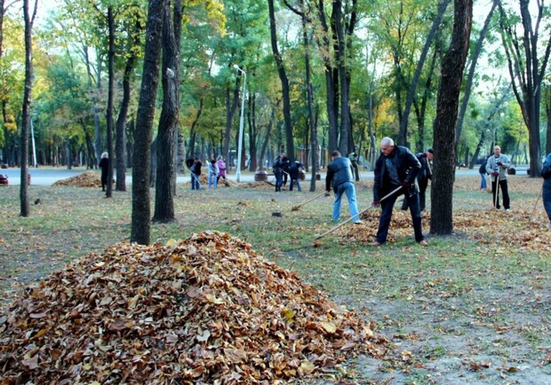 Днепропетровчане благоустроили 1,5 тысячи гектаров за один день