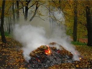 Дымовые завесы ежедневно окутывают жилмассивы города. Фото с сайта kp.ua