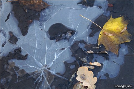 Вода утром покроется тонким льдом. Фото с сайта roadplanet.ru
