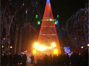 Так выглядела губернаторская елка в прошлом году. Фото с сайта kp.ua