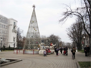 Губернаторская елка засветится в конце декабря. Фото с сайта kp.ua