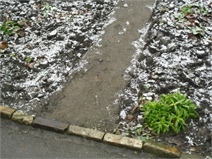 Первый снег этой зимы в Днепропетровске. Фото автора