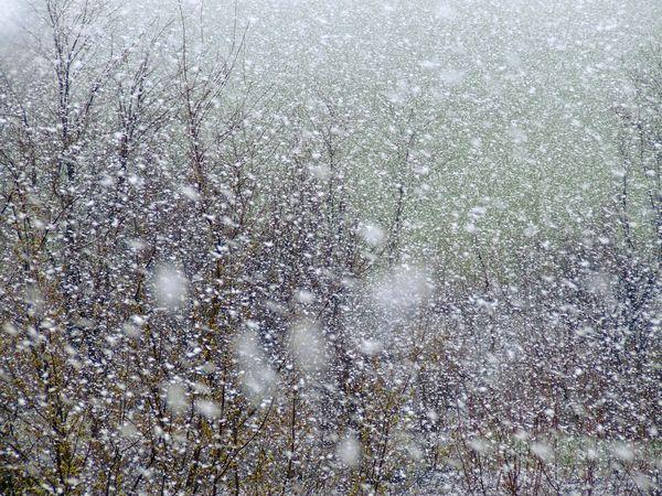Утром и вечером будет кружить небольшой снежок. Фото с сайта stihi.ru