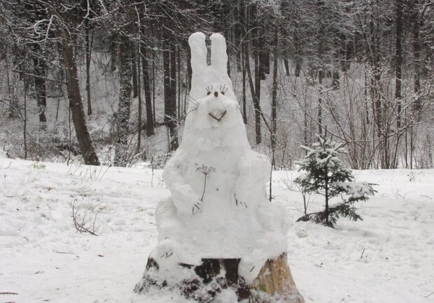 Если зайцы в лесу не поменяли окрас – снег обязательно выпадет еще. Фото с сайта fotoplex.ru