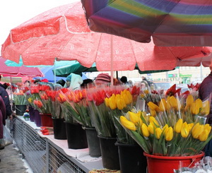 Самый популярный товар - тюльпаны. Фото с сайта dnepr.comments.ua