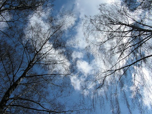 Сегодня солнце не часто будет показываться на небе. Фото с сайта fotki.yandex.ru