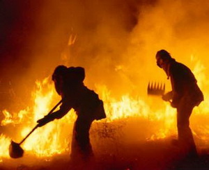 Лесной пожар - страшная сила. Фото с сайта inarod.com