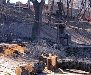 Комиссия разберется, какие деревья аварийные, а какие- нет. Фото Дениса Моторина