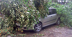 Проснулся утром - а машина "в кустах". Фото: forum.gorod.dp.ua