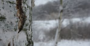 В Днепропетровске снова повеяло морозом. Фото: usiter.com
