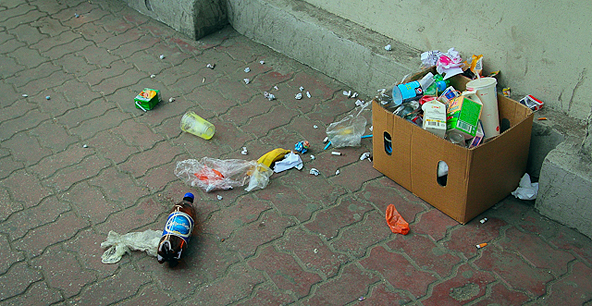 Куда бросать мусор. Фото: Денис Моторин