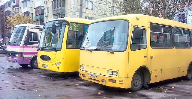 На новом маршруте пока только 10 автобусов. Фото Дениса Моторина.
