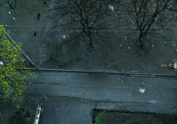 Весенний снег. Фото Дениса Моторина