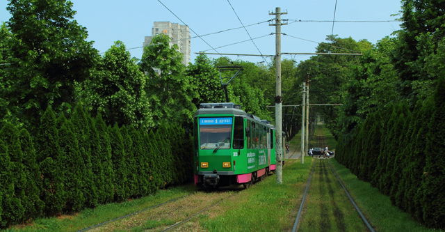 Трамвай на траве. Фото Дениса Моторина