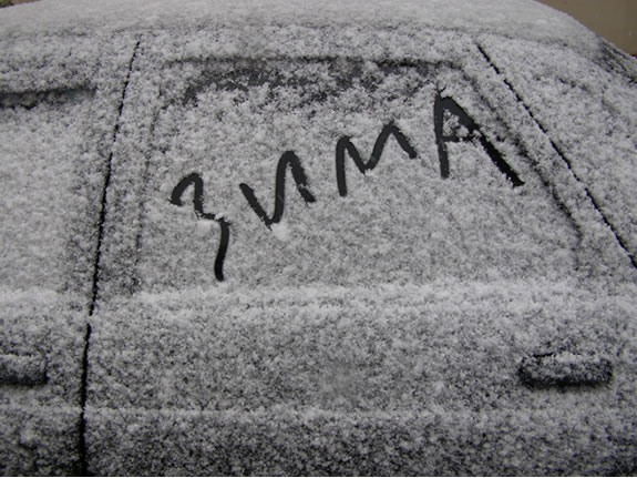 А в десятых числах этого месяца воздух днем будет прогреваться до +13 градусов.
Фото: sobiratelzvezd.ru
