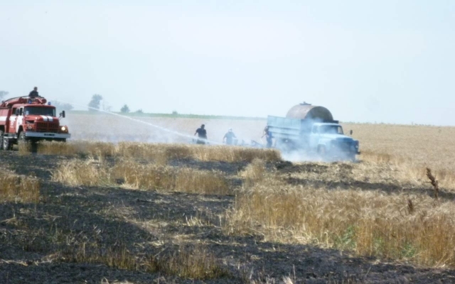Новость - События - Загорелось-запылало: под Днепром чуть не сгорели поля пшеницы