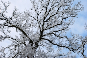Синоптики обещают снег.
Фото с сайта www.sxc.hu