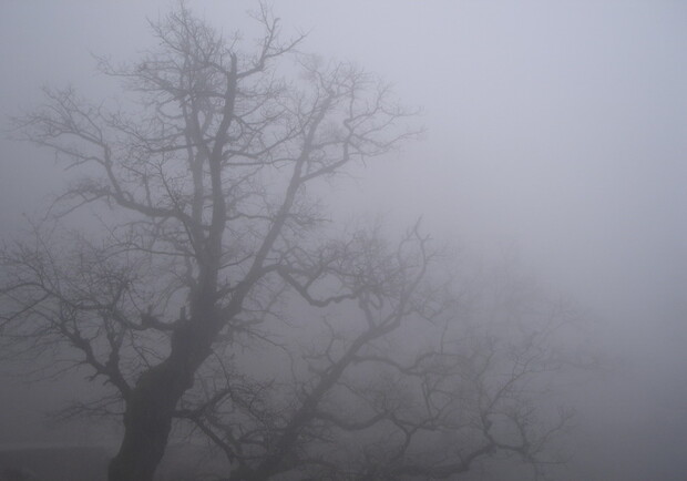 Осторожно! Местами возможен туман.
Фото с сайта sxc.hu.