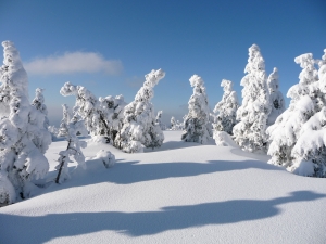 Сегодня возможен небольшой снег.
Фото с сайта sxc.hu.