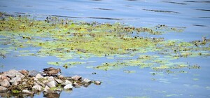 Днепр может превратиться в сплошной поток сточных вод