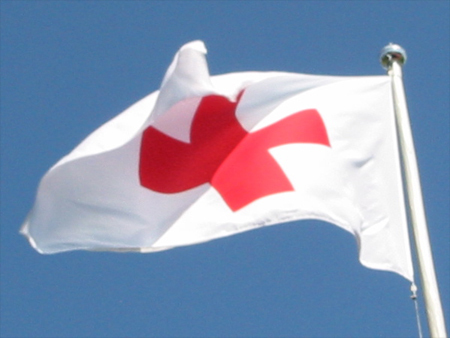Красный Крест собирает пожертвования для Японии по всему миру. Фото с сайта tsn.ua
