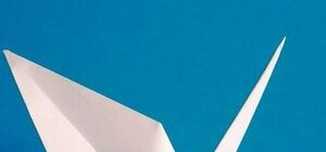 Луганские студенты, сочувствуя Японии, сделали тысячу журавликов-оригами