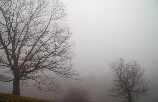 По утрам в городе легкий туман. Фото с сайта vgorode.ua