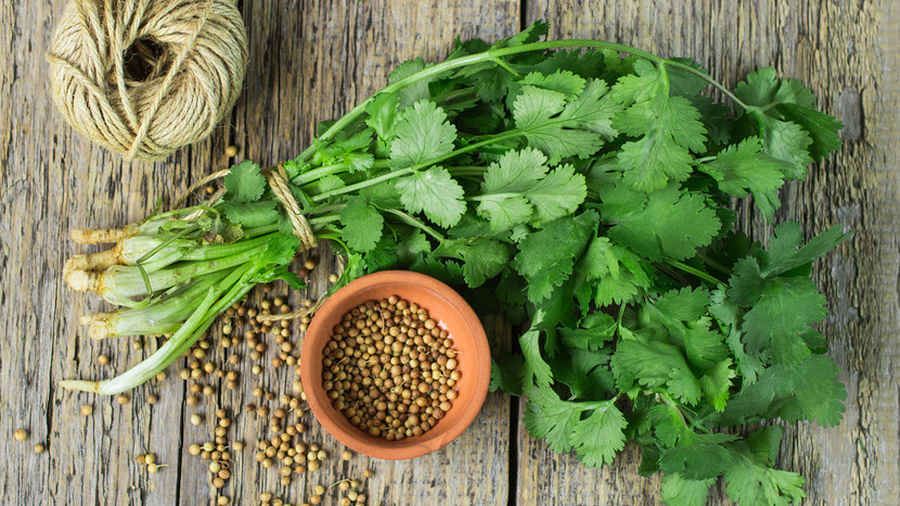 Запомни производителя: в Харькове обнаружили опасные масло и специи