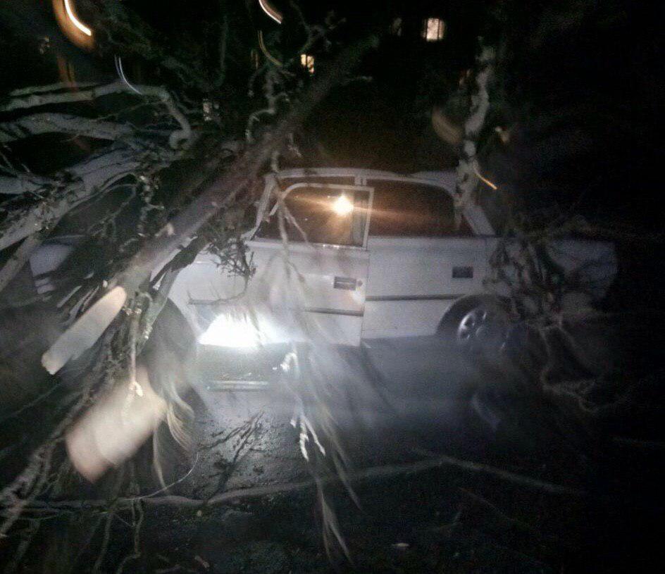 Ветер разбушевался: в Запорожье падают деревья на машины и обрываются балконы (видео)