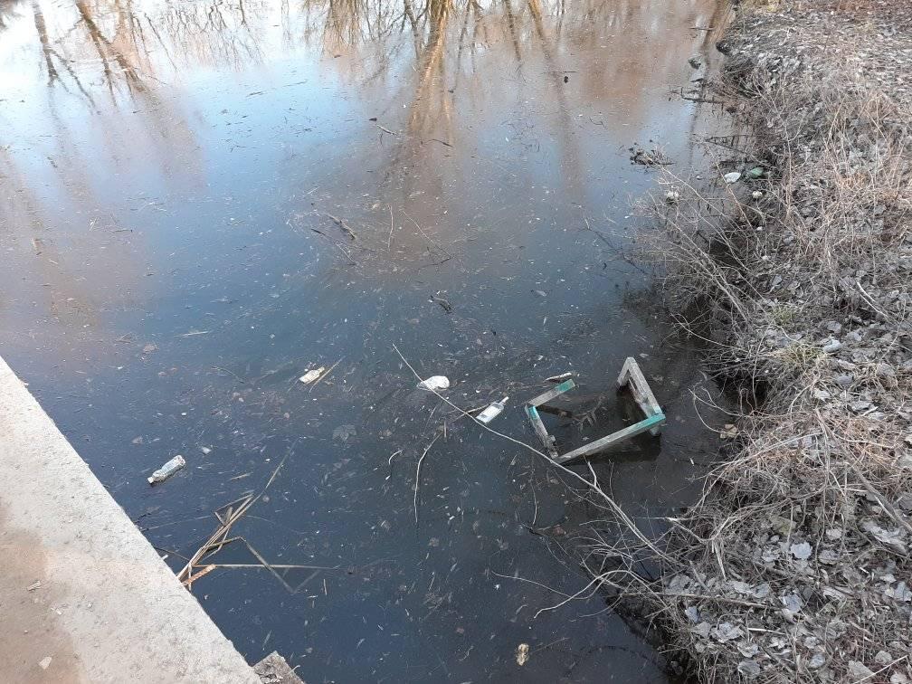 Помимо застоя, в воде валяется всякий мусор/ фото: Артем Стасенко