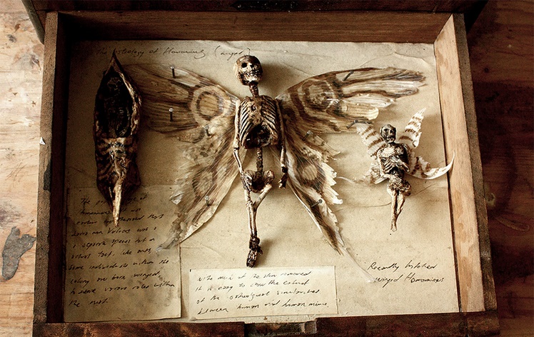 В Лондоне найдены крохотные человеческие скелеты с крыльями