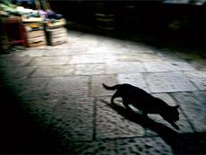 Вера в амулеты и заклинания делает человека успешнее