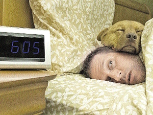 Летать во сне полезно!