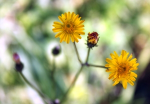 Запасаемся кремом для загара - через две недели в Украину нагрянет лето