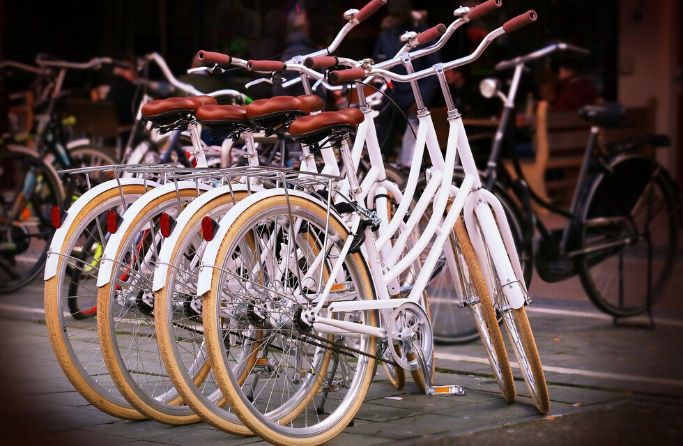 Прокат велосипедов в Днепре / фото: pixabay