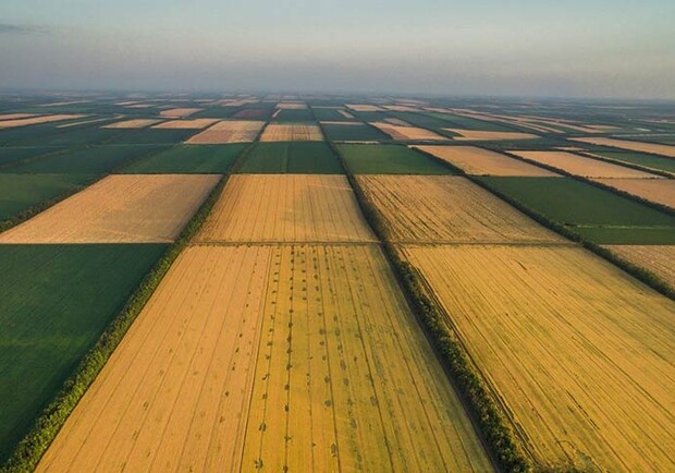 Верховная Рада проголосовала за открытие рынка земли фото