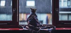 Отличный повод посидеть дома: в Днепр идут заморозки