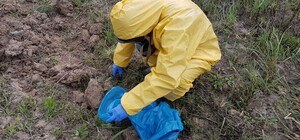 Попорались: львів'яни виявили у своєму дворі небезпечну знахідку