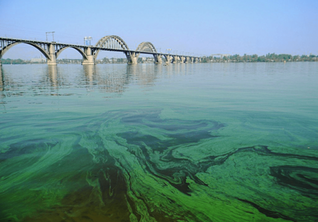 Днепр на грани экологической катастрофы/ фото: pavlograd.dp.ua