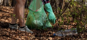 Все на субботник: узнай куда обращаться, чтобы вывезли мусор 