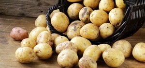 Рекордная цена: картошка в Украине подорожала вдвое