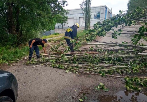 Поваленные деревья и потопы: что наделала непогода в Днепре - фото ГСЧС