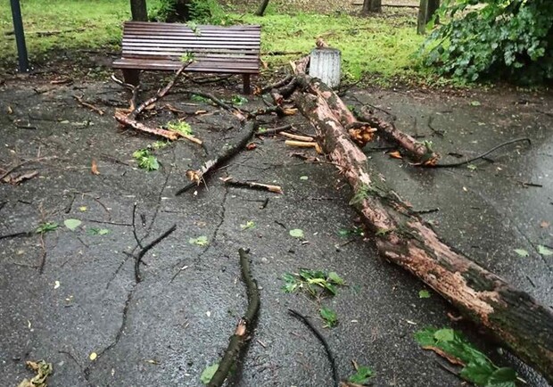 Парк Шевченко завалило ветками из-за непогоды/ фото: фб  Комунальне Підприємство Парк Шевченка